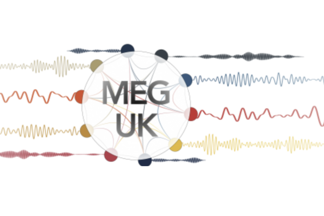 Иллюстрация к новости: Конференция MEG UK 2019
